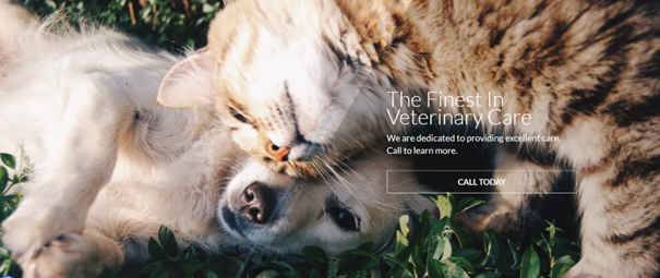 CareMore Animal Hospital